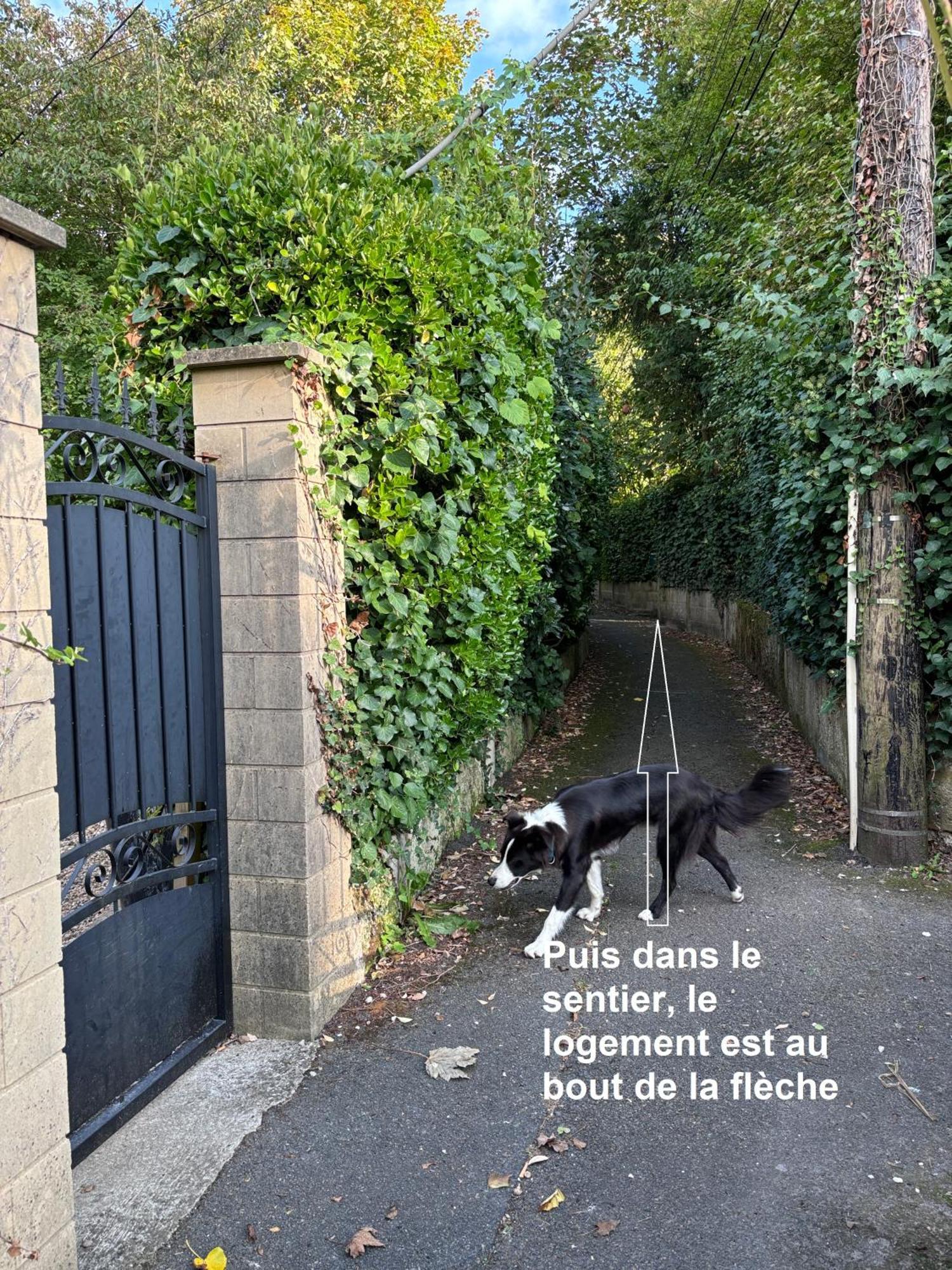 Merig'Home Chambre Bd Climatisee Dans Maison Avec Piscine Au Calme En Ville, Sdb & Toilettes Prives Angoulême Esterno foto